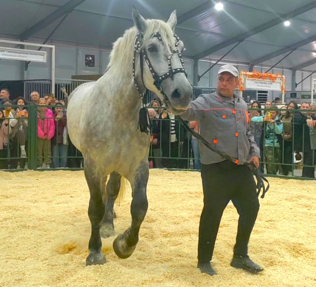 Саратовская Дэйнерис покорила Москву